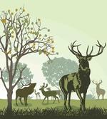 Deer and Nature Park