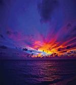 Dream Sunset Magenta
