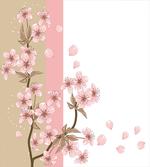 Romantic Sakura Blooms