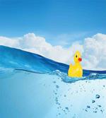 Swimming in Pool