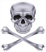 Vivid Skull Crossbones