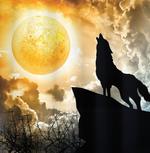 Howling Animal Silhouette Hill