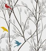 Birds Wildlife Cartoon