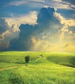 Summer Spring Rural