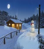 Rustic Wood Cottage