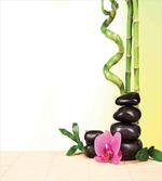 Bamboo Rocks Meditation