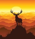 Wildlife Sunset Hill