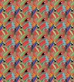 Tropical Birds Rainforest