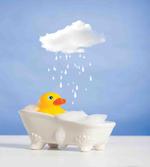 Duck Taking Bath