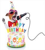 Birthday Music Dog