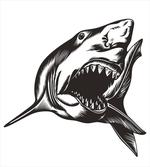 Wild Fish with Open Mouth
