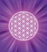 Overlap Circles