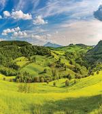 Tuscany Italy Farms
