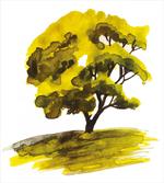 Watercolor Oak Tree
