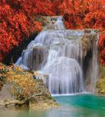 Autumn Leaves on Lake