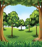 Nature Scene Summer