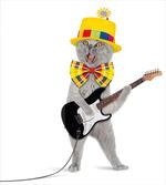 Hipster Musician Kitty Fun