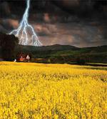 Thunderstorm over Meadow