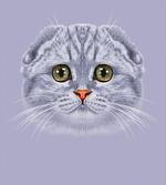 Cat with Green Eyes