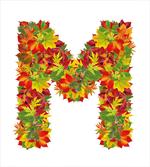 Fall Elements Capital