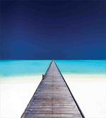 Wooden Path into Ocean