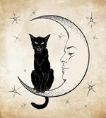 Black Cat Siting on Moon
