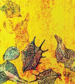 Seashells Animal Grunge