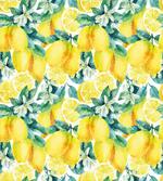 Lemon Citrus Branches