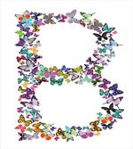Beauty Fragility Theme
