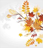 Autumn Themed Faded Leaves