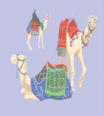 Camels with Rugs