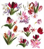 Composition of Flowers