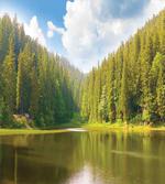 Mountain Hill Landscape
