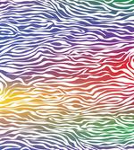 Abstract Zebra Skin