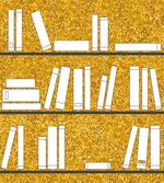 Simplistic Books on Shelves