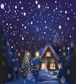 Winter Night House