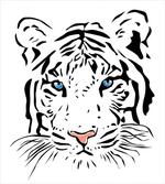 Tiger Ocean Blue Eyes