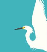 Side Drawn Heron Bird artwork