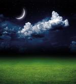 Green Grass Fluffy Clouds