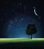 Lonely Tree Crescent Moon