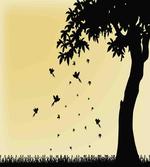 Tree with Falling Leaves