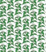Nettle Branches artwork