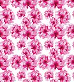 Abstract Peonies