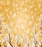Trees Blossom in Spring