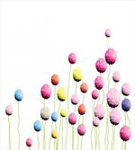 Amaranth Flower Pattern