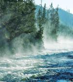 River Trees Nature artwork