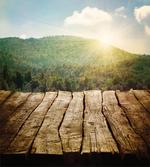 Mountain Side Landscape