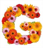 Floral Fresh Garden