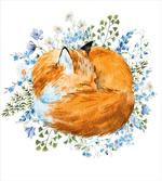 Sleeping Fox Watercolors