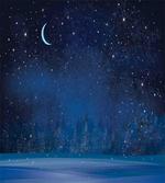 Winter Season Nighttime